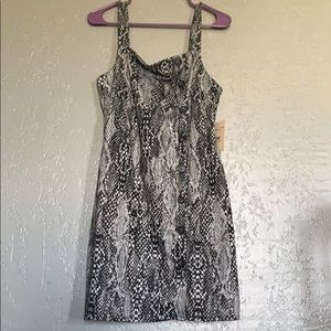 Snake Skin Dress